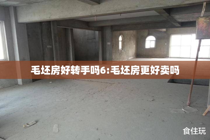 毛坯房好转手吗6:毛坯房更好卖吗