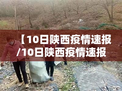 【10日陕西疫情速报/10日陕西疫情速报视频】 【10日陕西疫情速报/10日陕西疫情速报视频】