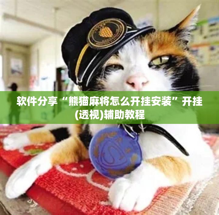 软件分享“熊猫麻将怎么开挂安装”开挂(透视)辅助教程