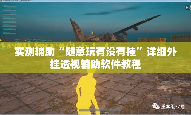 实测辅助“随意玩有没有挂	”详细外挂透视辅助软件教程