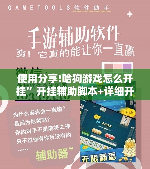使用分享!哈狗游戏怎么开挂”开挂辅助脚本+详细开挂安装教程