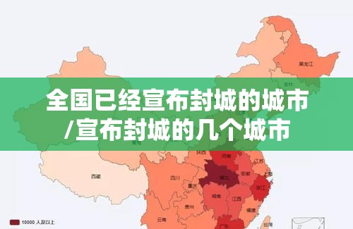 全国已经宣布封城的城市/宣布封城的几个城市