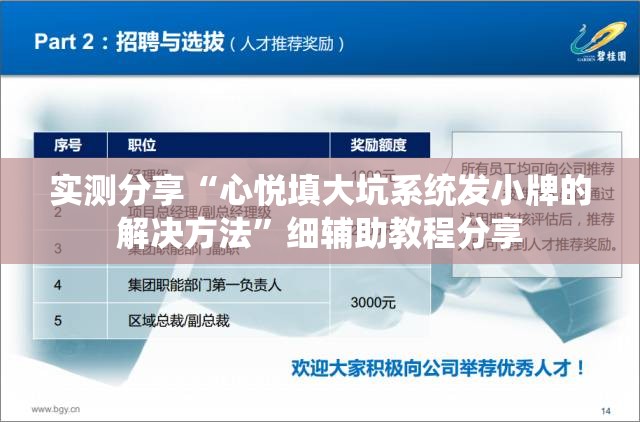 实测分享“心悦填大坑系统发小牌的解决方法	”细辅助教程分享