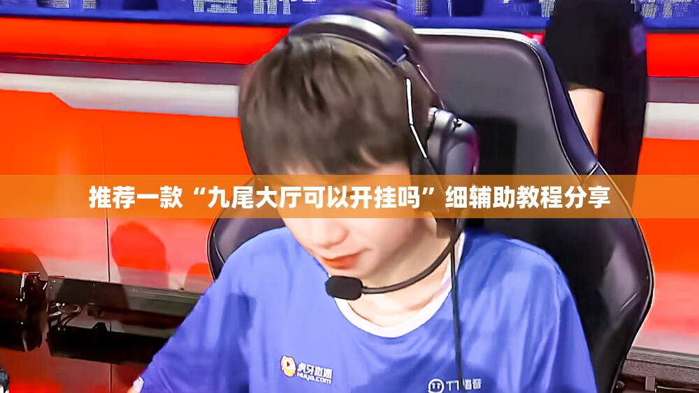 推荐一款“九尾大厅可以开挂吗”细辅助教程分享