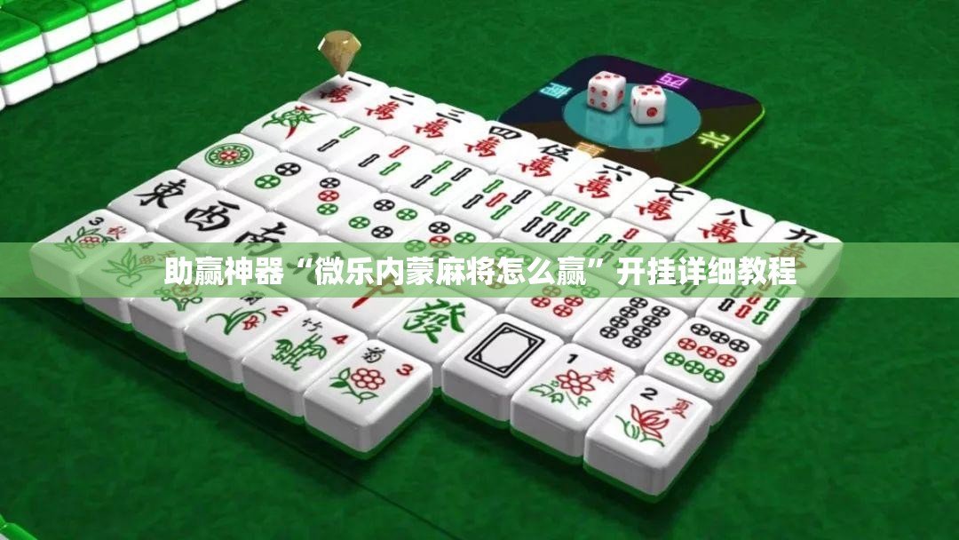 助赢神器“微乐内蒙麻将怎么赢”开挂详细教程