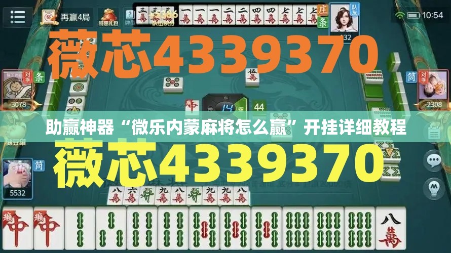 助赢神器“微乐内蒙麻将怎么赢”开挂详细教程