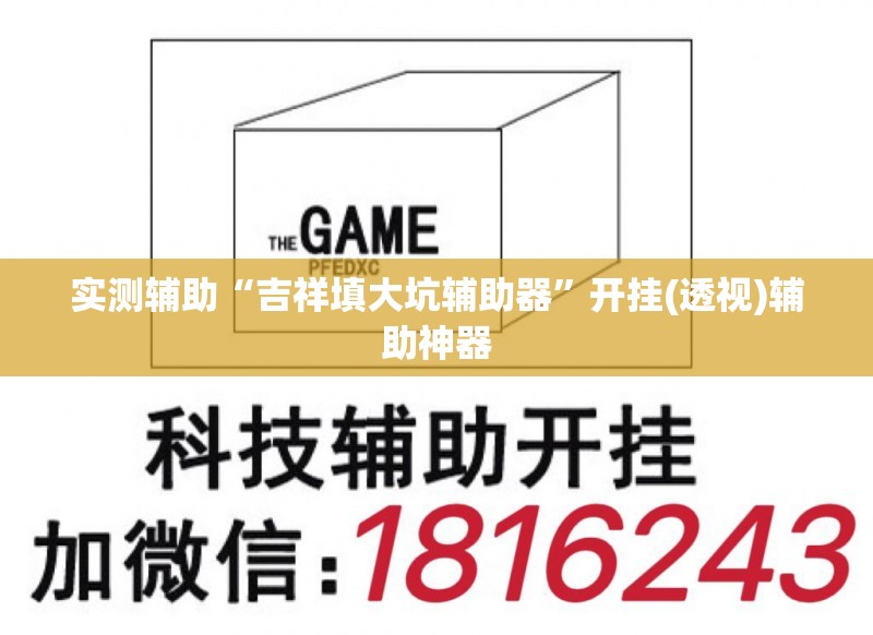 实测辅助“吉祥填大坑辅助器”开挂(透视)辅助神器
