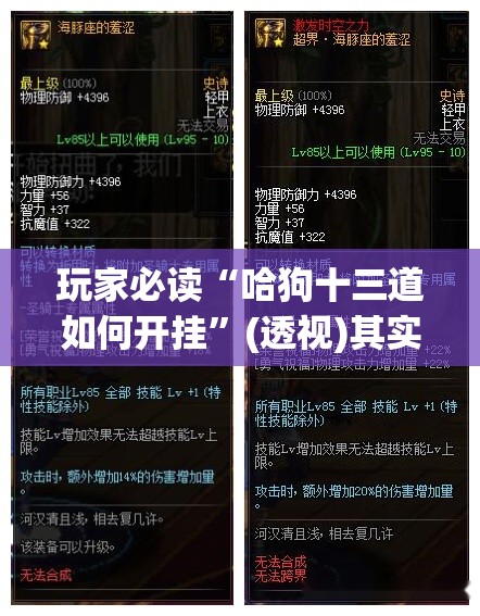 玩家必读“哈狗十三道如何开挂”(透视)其实确实有挂