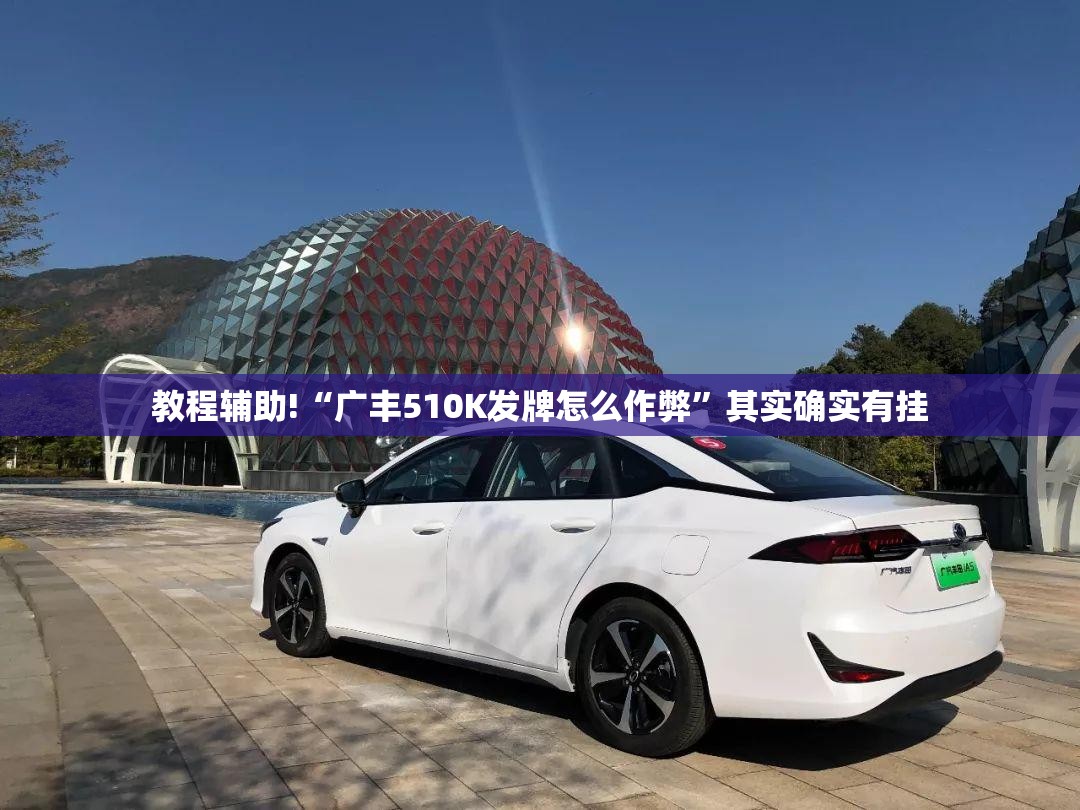 教程辅助!“广丰510K发牌怎么作弊”其实确实有挂