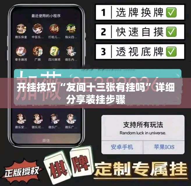 开挂技巧“友间十三张有挂吗”详细分享装挂步骤