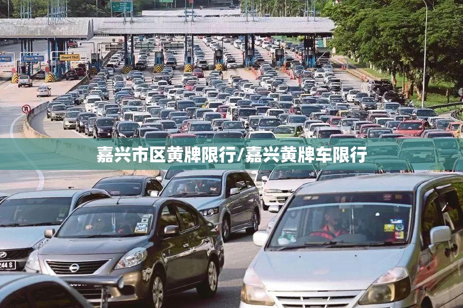 嘉兴市区黄牌限行/嘉兴黄牌车限行