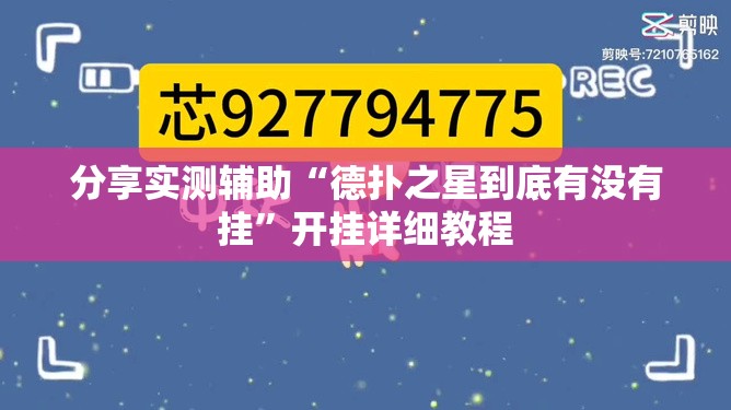 分享实测辅助“德扑之星到底有没有挂”开挂详细教程