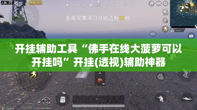 开挂辅助工具“佛手在线大菠萝可以开挂吗”开挂(透视)辅助神器