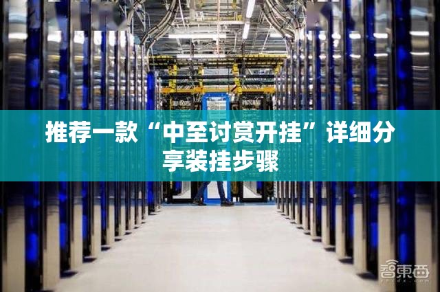 推荐一款“中至讨赏开挂”详细分享装挂步骤