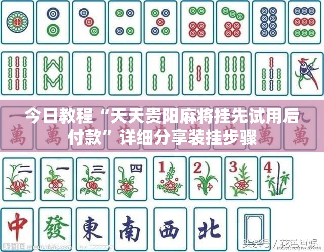 今日教程“天天贵阳麻将挂先试用后付款”详细分享装挂步骤