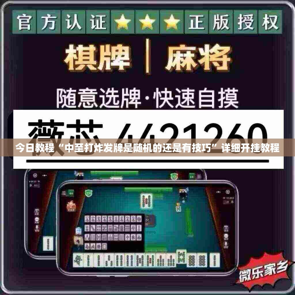 今日教程“中至打炸发牌是随机的还是有技巧	”详细开挂教程