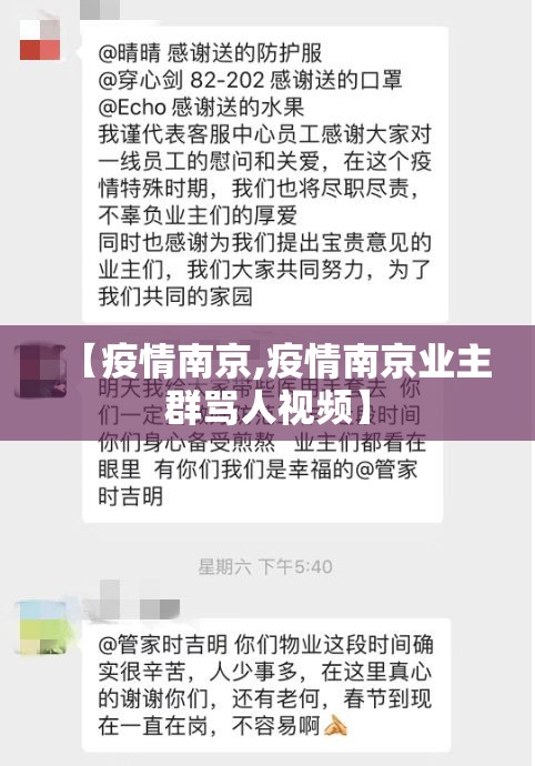 【疫情南京,疫情南京业主群骂人视频】