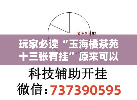 玩家必读“玉海楼茶苑十三张有挂	”原来可以开挂