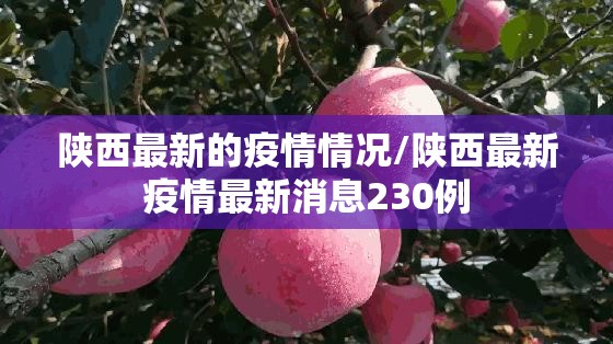陕西最新的疫情情况/陕西最新疫情最新消息230例 陕西最新的疫情情况/陕西最新疫情最新消息230例