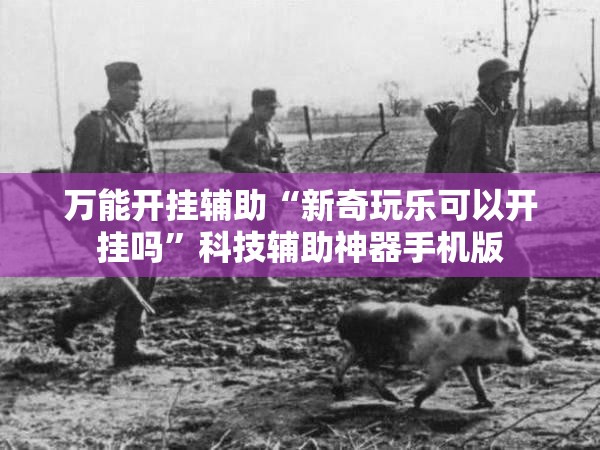 万能开挂辅助“新奇玩乐可以开挂吗	”科技辅助神器手机版