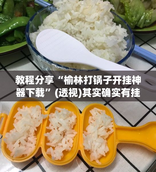 教程分享“榆林打锅子开挂神器下载”(透视)其实确实有挂