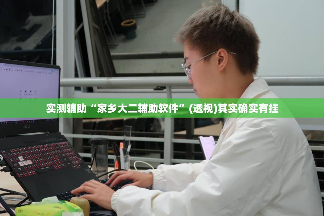 实测辅助“家乡大二辅助软件”(透视)其实确实有挂