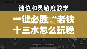 一键必胜“老铁十三水怎么玩稳赢”详细外挂透视辅助软件教程