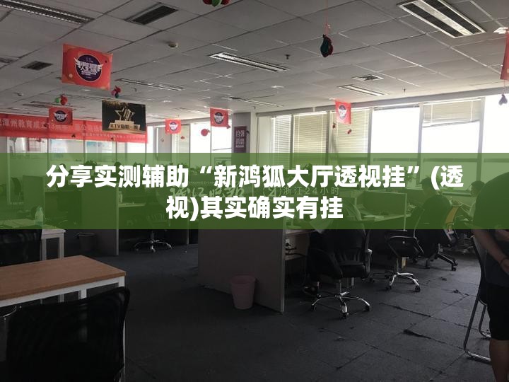 分享实测辅助“新鸿狐大厅透视挂”(透视)其实确实有挂