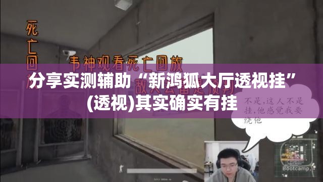 分享实测辅助“新鸿狐大厅透视挂”(透视)其实确实有挂
