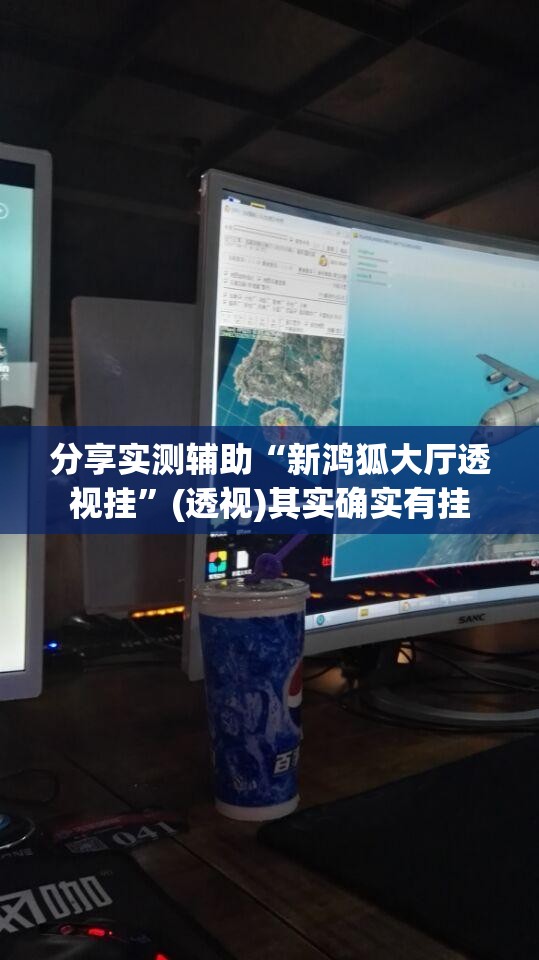 分享实测辅助“新鸿狐大厅透视挂	”(透视)其实确实有挂