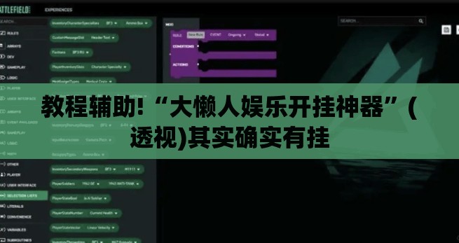 教程辅助!“大懒人娱乐开挂神器”(透视)其实确实有挂