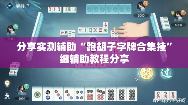 分享实测辅助“跑胡子字牌合集挂”细辅助教程分享