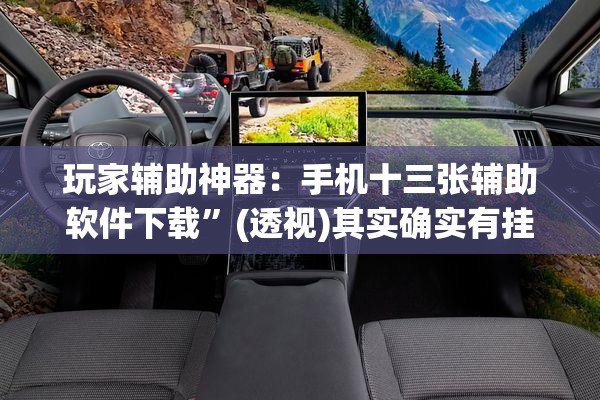 玩家辅助神器：手机十三张辅助软件下载”(透视)其实确实有挂