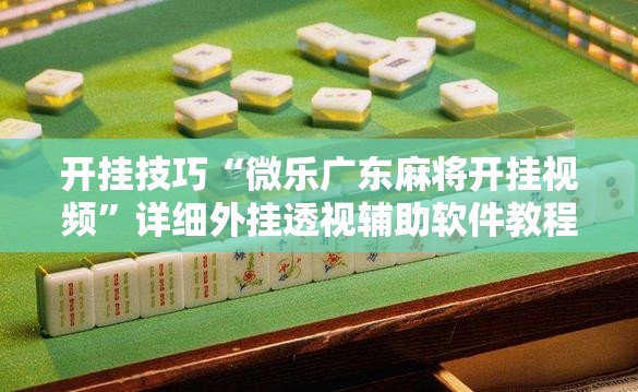 开挂技巧“微乐广东麻将开挂视频”详细外挂透视辅助软件教程