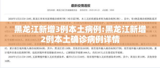 黑龙江新增3例本土病例:黑龙江新增2例本土确诊病例详情