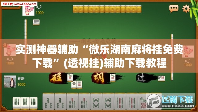 实测神器辅助“微乐湖南麻将挂免费下载”(透视挂)辅助下载教程