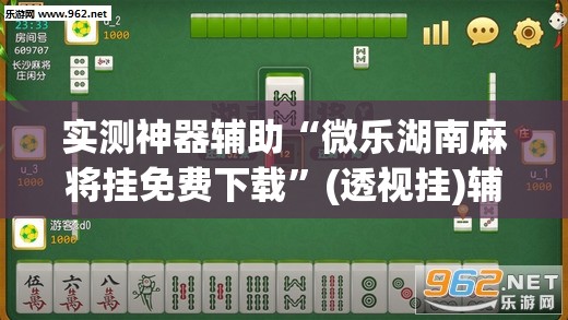 实测神器辅助“微乐湖南麻将挂免费下载”(透视挂)辅助下载教程