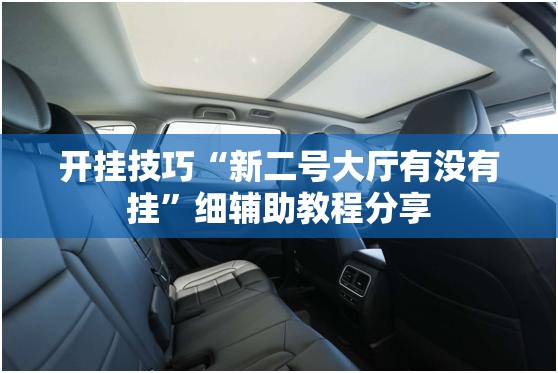 开挂技巧“新二号大厅有没有挂”细辅助教程分享