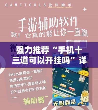 强力推荐“手机十三道可以开挂吗”详细开挂教程
