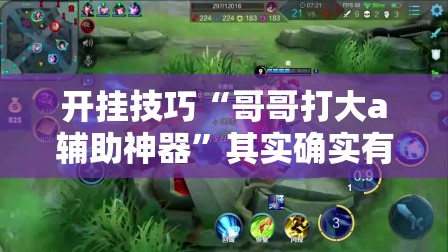 开挂技巧“哥哥打大a辅助神器”其实确实有挂