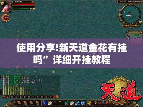 使用分享!新天道金花有挂吗”详细开挂教程