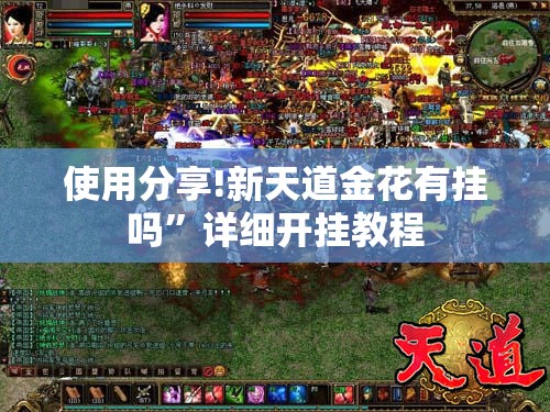 使用分享!新天道金花有挂吗”详细开挂教程