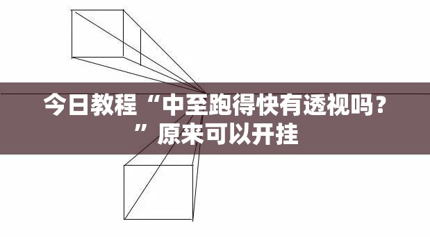 今日教程“中至跑得快有透视吗？	”原来可以开挂