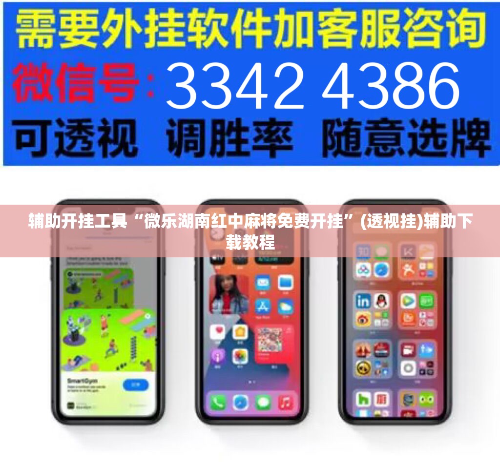 辅助开挂工具“微乐湖南红中麻将免费开挂”(透视挂)辅助下载教程