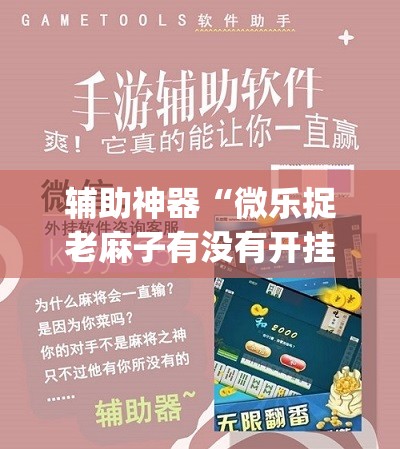 辅助神器“微乐捉老麻子有没有开挂神器”(透视挂)辅助下载教程