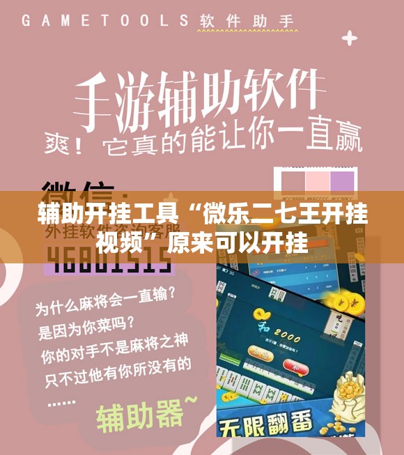 辅助开挂工具“微乐二七王开挂视频”原来可以开挂