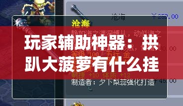 玩家辅助神器：拱趴大菠萝有什么挂吗,是不是真的(透视)”开挂辅助脚本+详细开挂安装教程