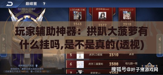 玩家辅助神器：拱趴大菠萝有什么挂吗,是不是真的(透视)”开挂辅助脚本+详细开挂安装教程