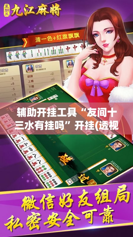 辅助开挂工具“友间十三水有挂吗	”开挂(透视)辅助神器