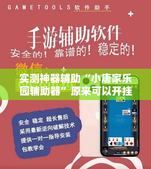 实测神器辅助“小唐家乐园辅助器	”原来可以开挂